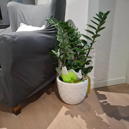 New On Apartamento *