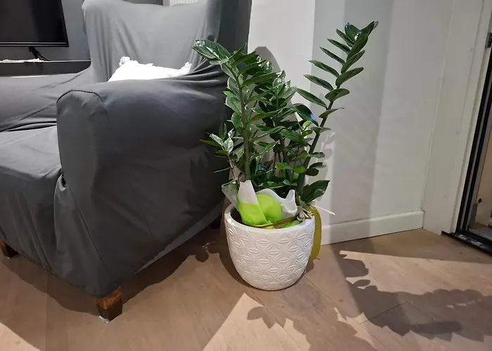 New On Apartamento *